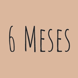 +6 Meses