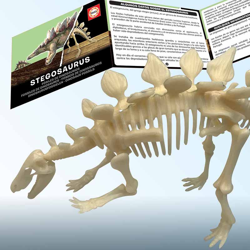 9 cursos e conteúdos online para quem gosta de dinossauros - Revista  Galileu