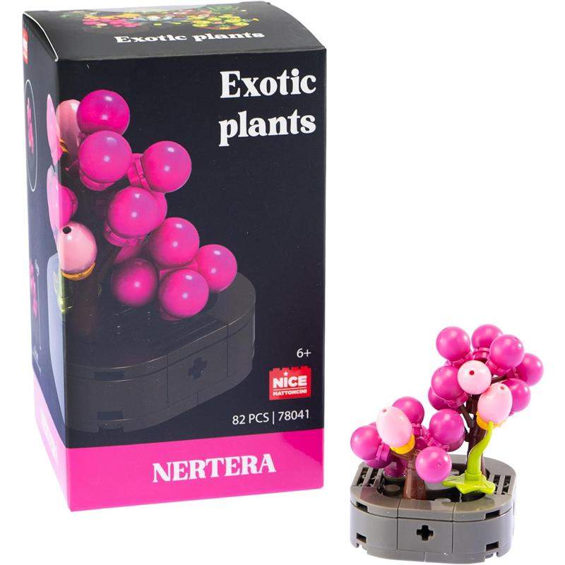 Plantas exóticas construção Nertera