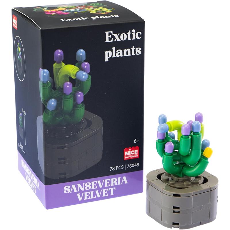 Plantas exóticas construção Sanseviera Velvet