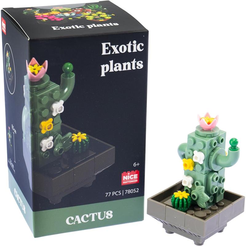 Plantas exóticas construção Cactos