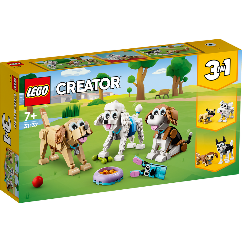 Jogo Passeio com os Pets - Pets 2 - Positiva Legal - Loja Mega