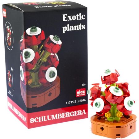 Plantas exóticas construção Schlumbergera