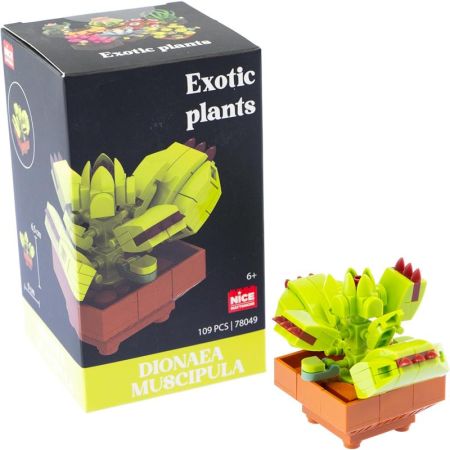 Plantas exóticas construção Dionae Muscipula