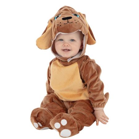 Disfarce cão bebé