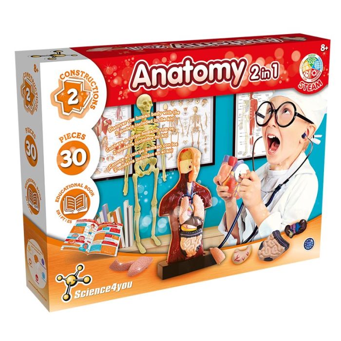 Jogos de anatomia online: aprenda enquanto se diverte!