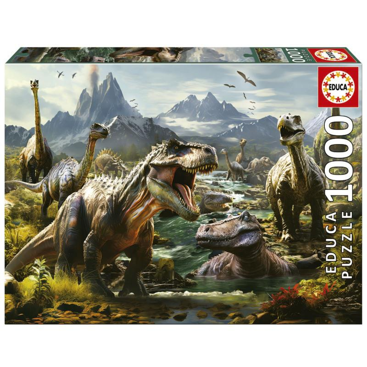 EDUCA Puzzle 1000 Teile (Gebraucht) in Bäretswil für CHF 6 – mit