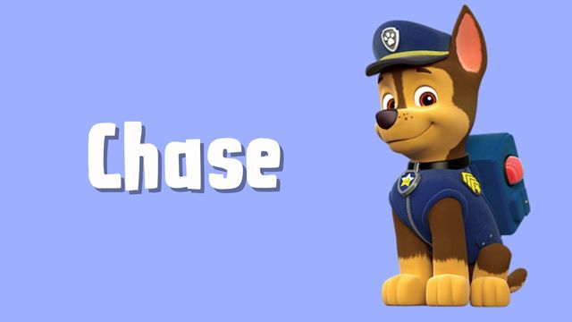 brinquedos patrulha pata chase