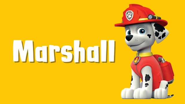 Comprar brinquedos marshall online