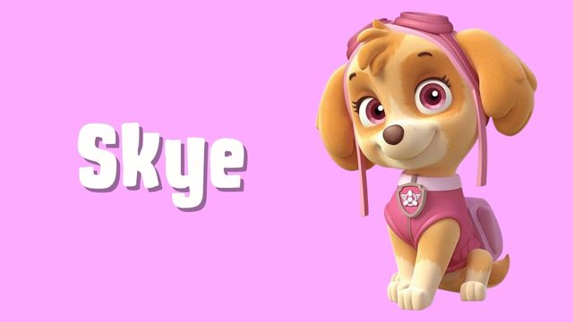 brinquedos patrulha pata skye