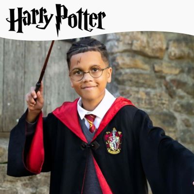 disfarces do harry potter
