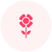 Comprar flores para construir online