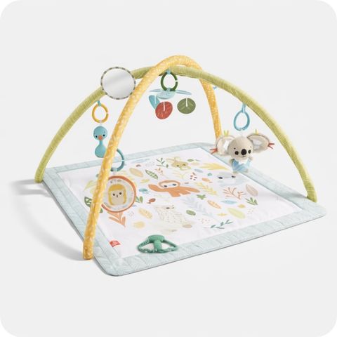 comprar Ginásios e parques online