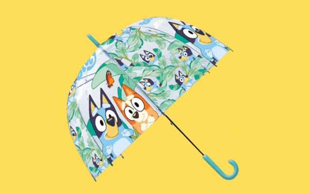 comprar guarda-chuva online
