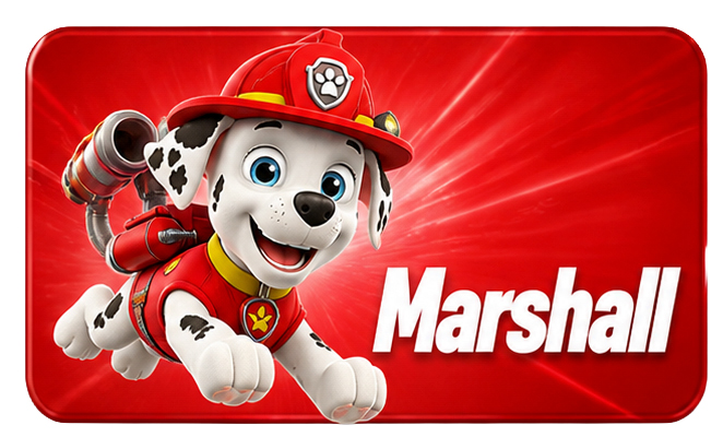 Comprar brinquedos marshall online